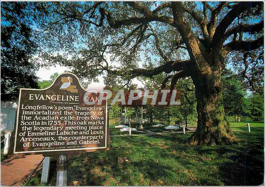 CPM Evangeline Oak Arceneaux the counterparts of Evangeline and Gabriel
