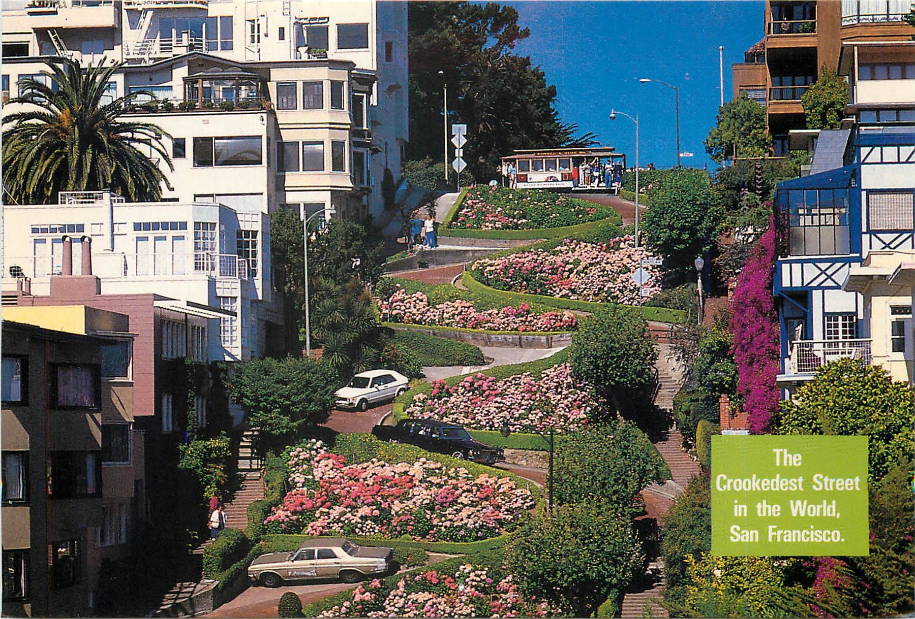 CPM San Francisco Colorful Hydrangeas line Lombard Street