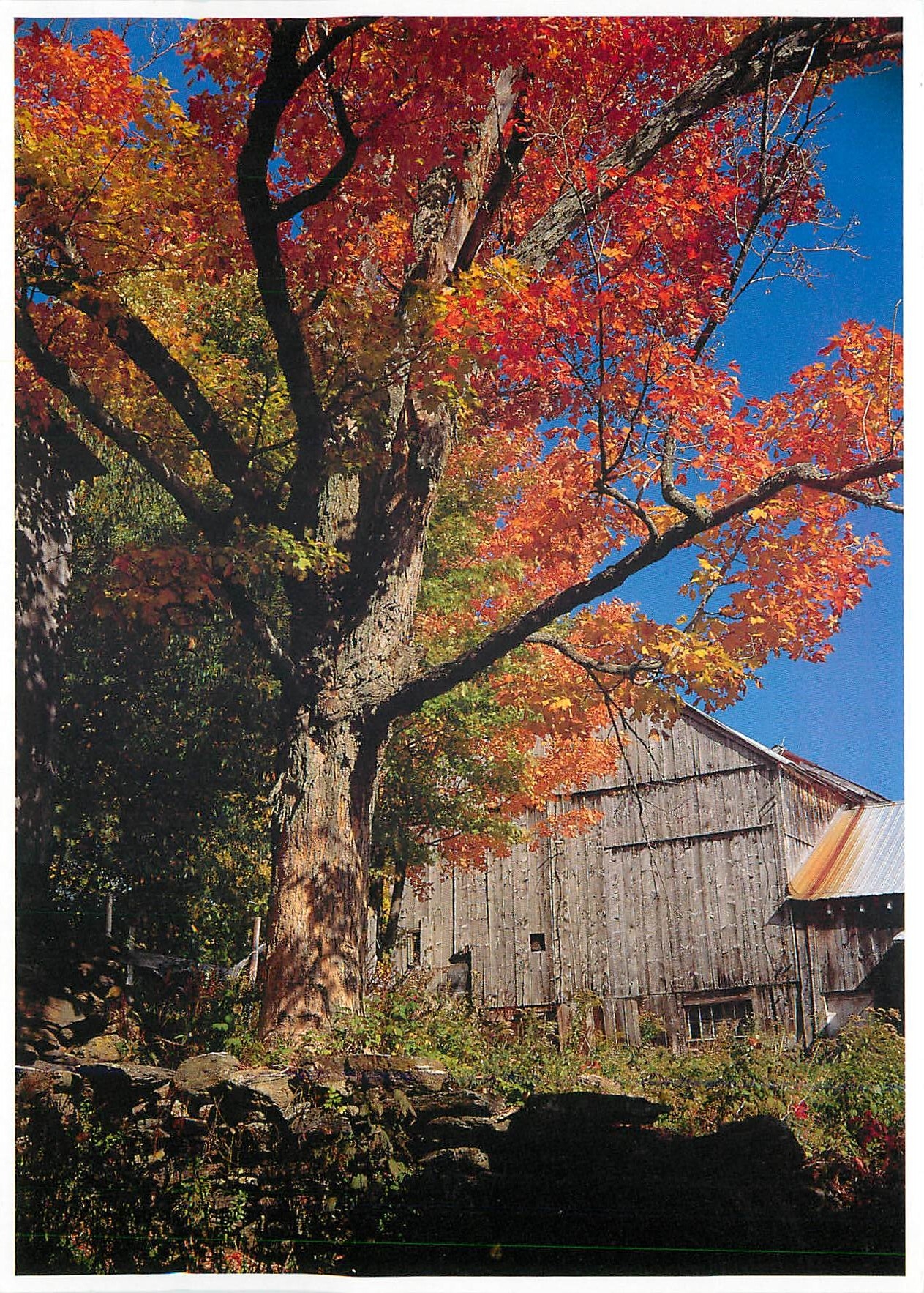 CPM Vermont