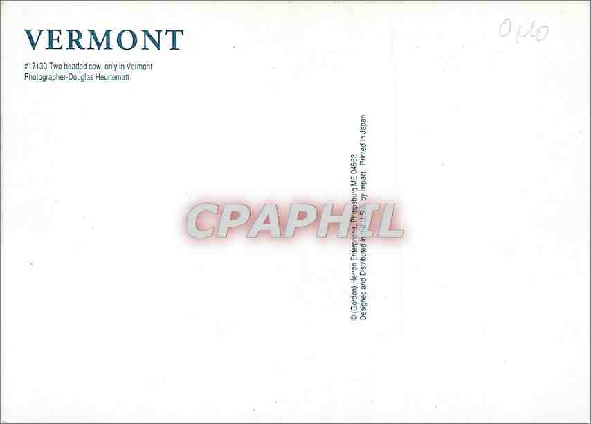 CPM Vermont — Back