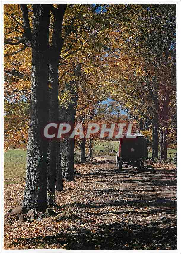 CPM Vermont