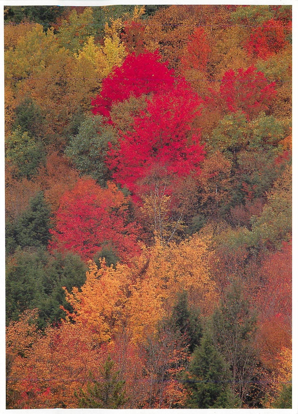 CPM Vermont