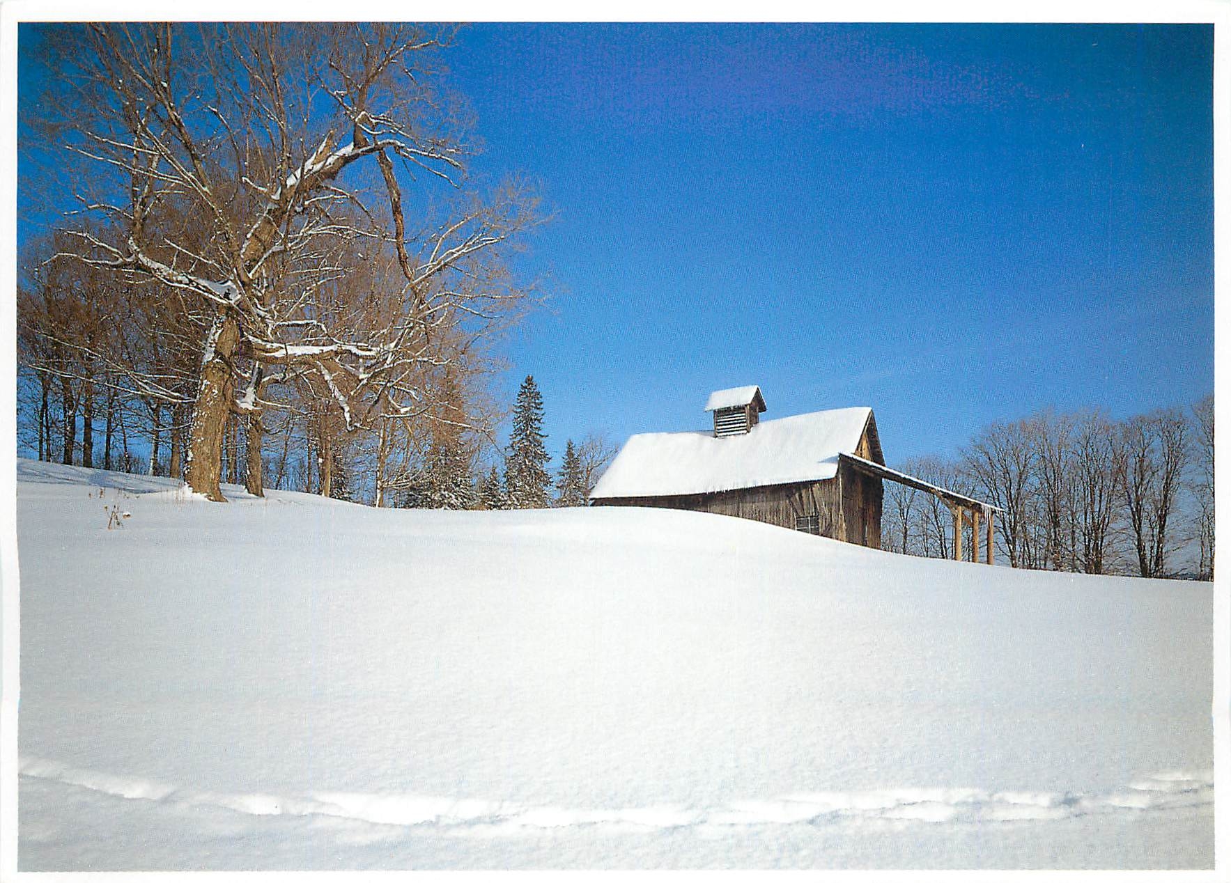 CPM Vermont