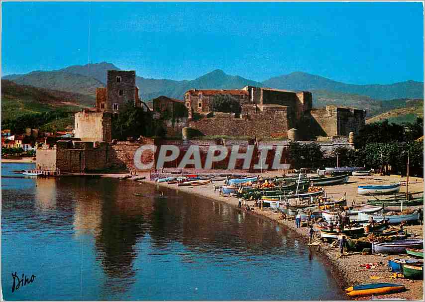 CPM Couleurs du Roussillon (P O) Collioure Le Celebre port catalan