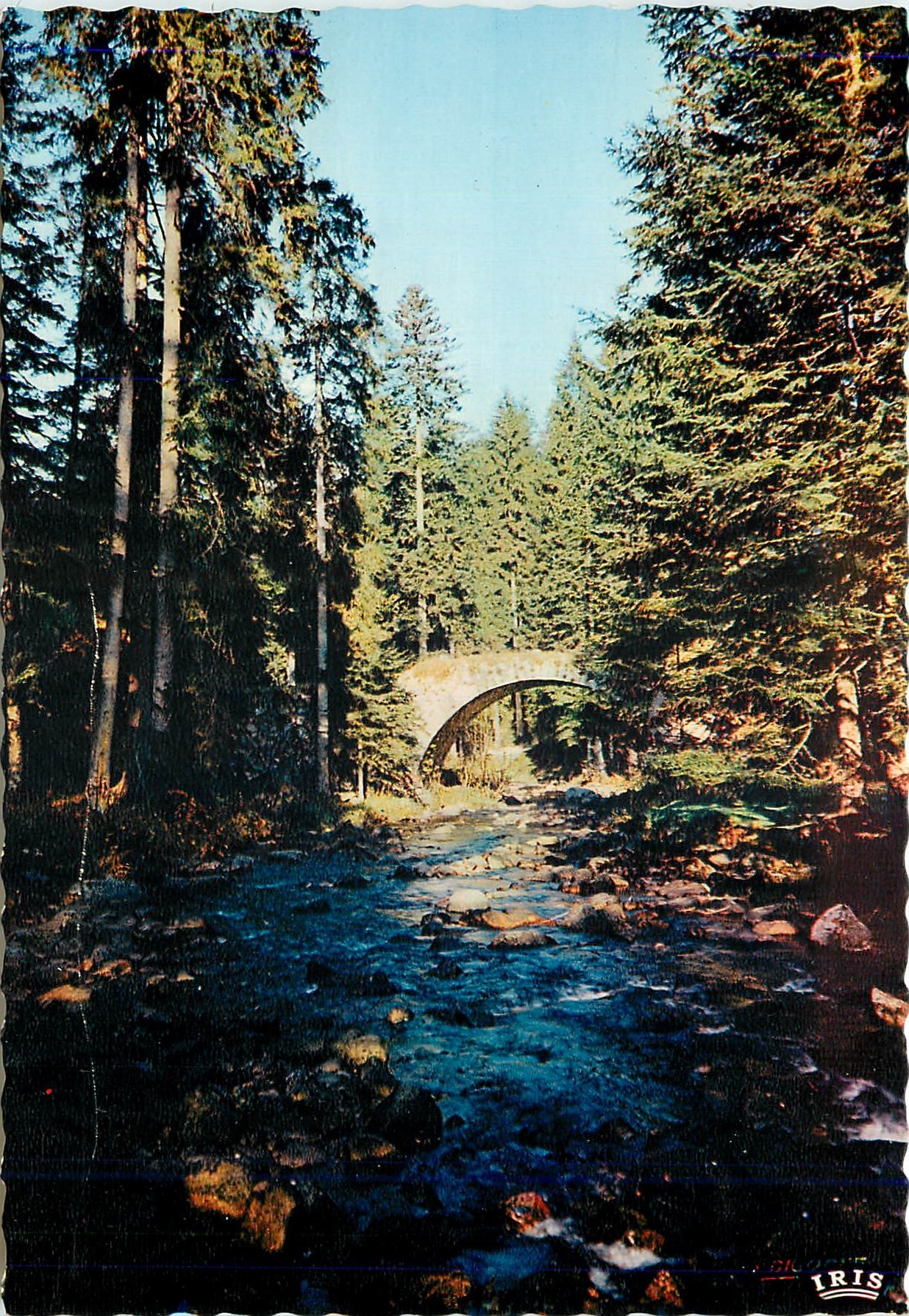 CPM Gerardmer (Vosges) Pont des Fees