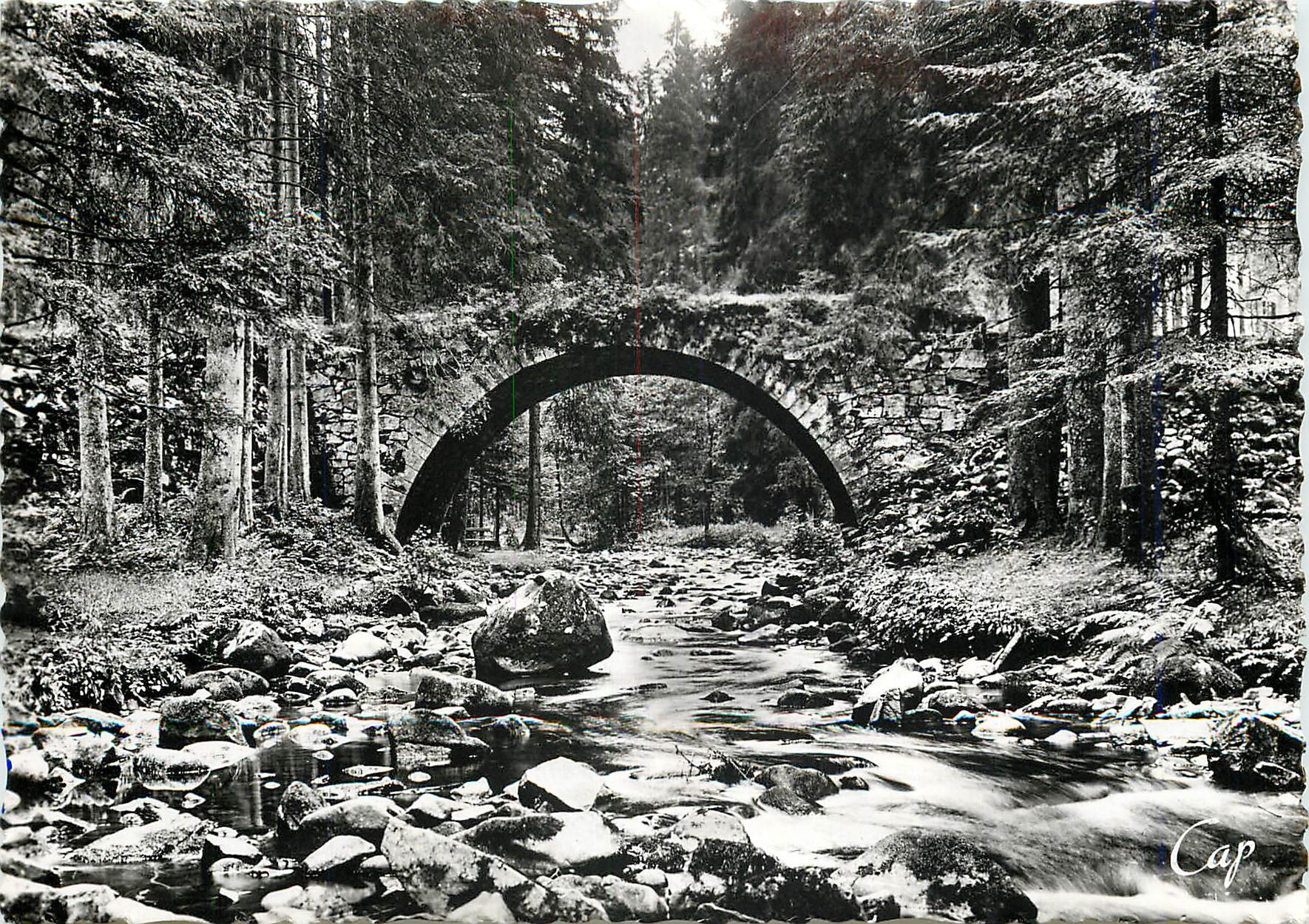 CPM Gerardmer (Vosges) Le Pont des Fees