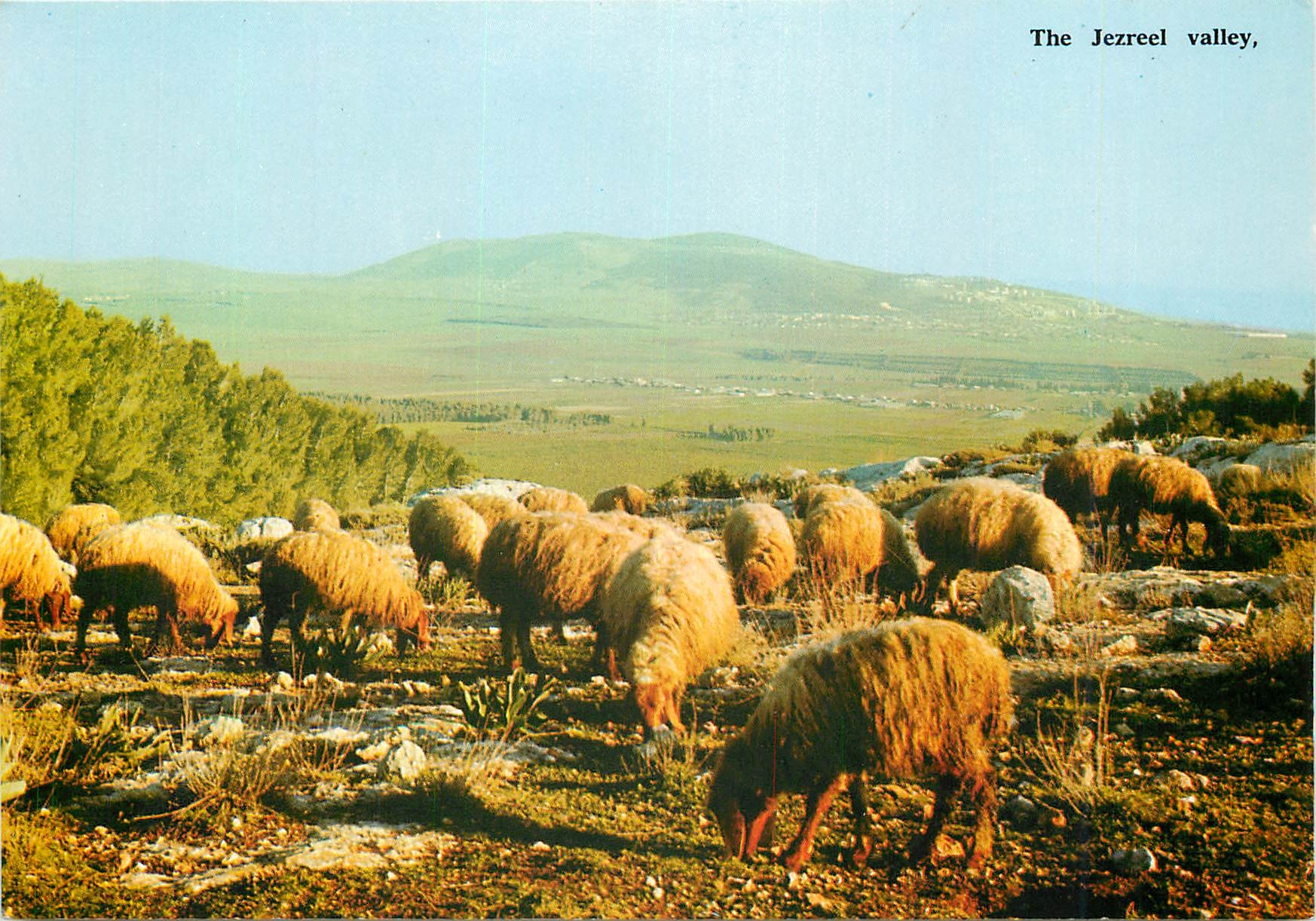 CPM The Jezreel Valley