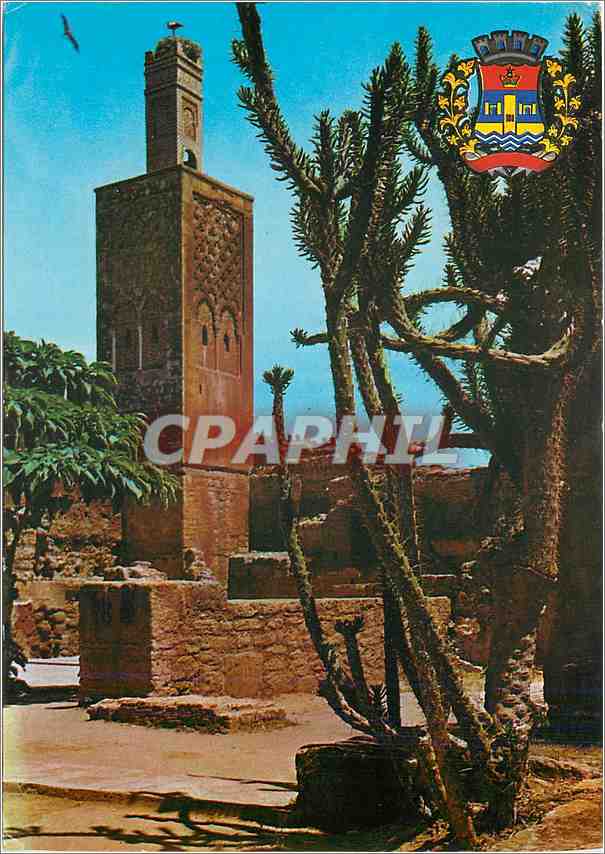 CPM Rabat Le Chellah et Armoire de la ville