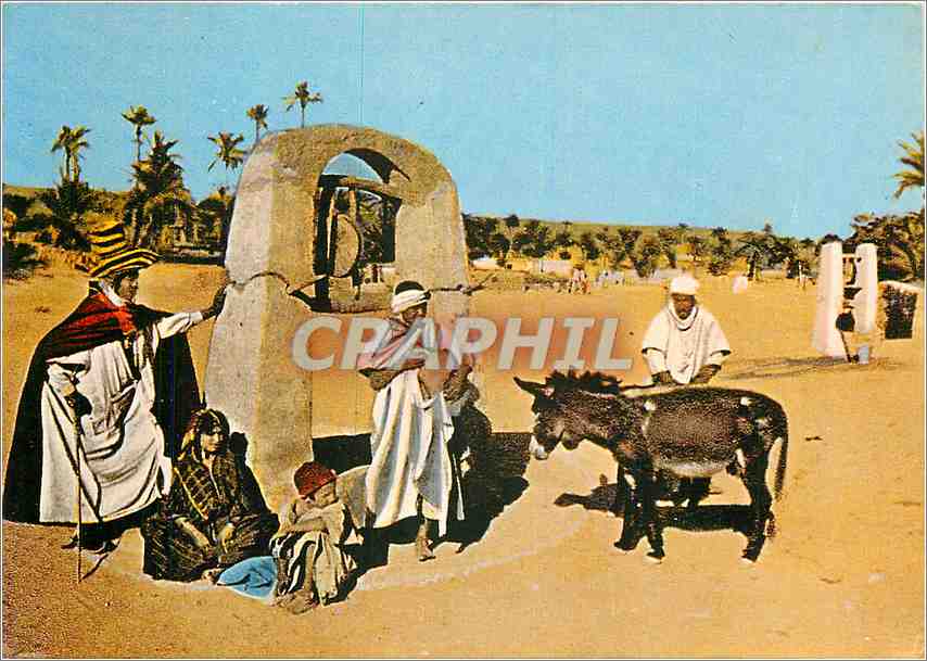 CPM Ghardaia (Algerie) Oasis Un puits au M'Zab