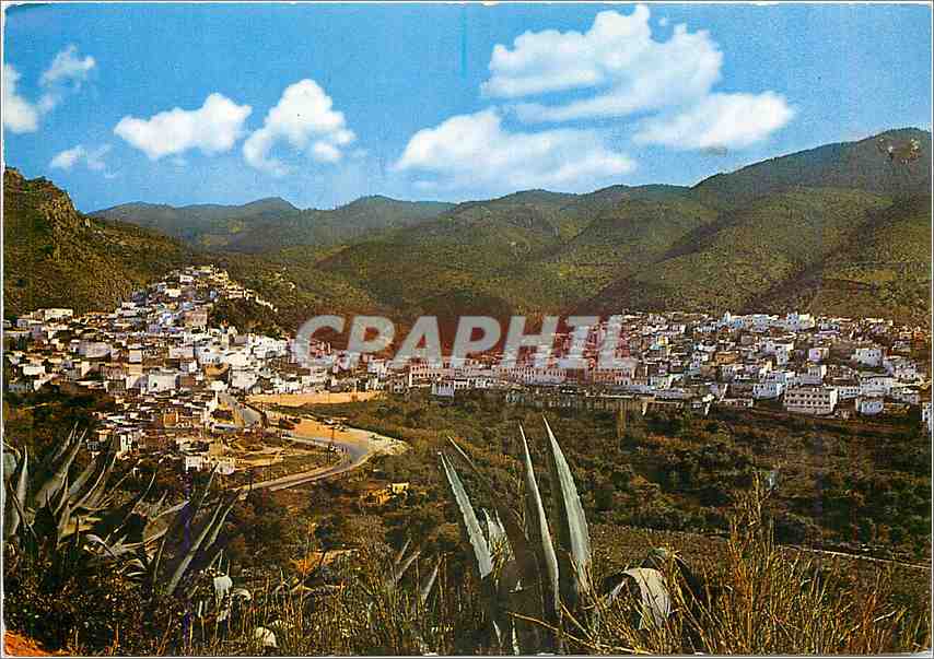 CPM Maroc Moulay Idriss Zerhoun Vue panoramque