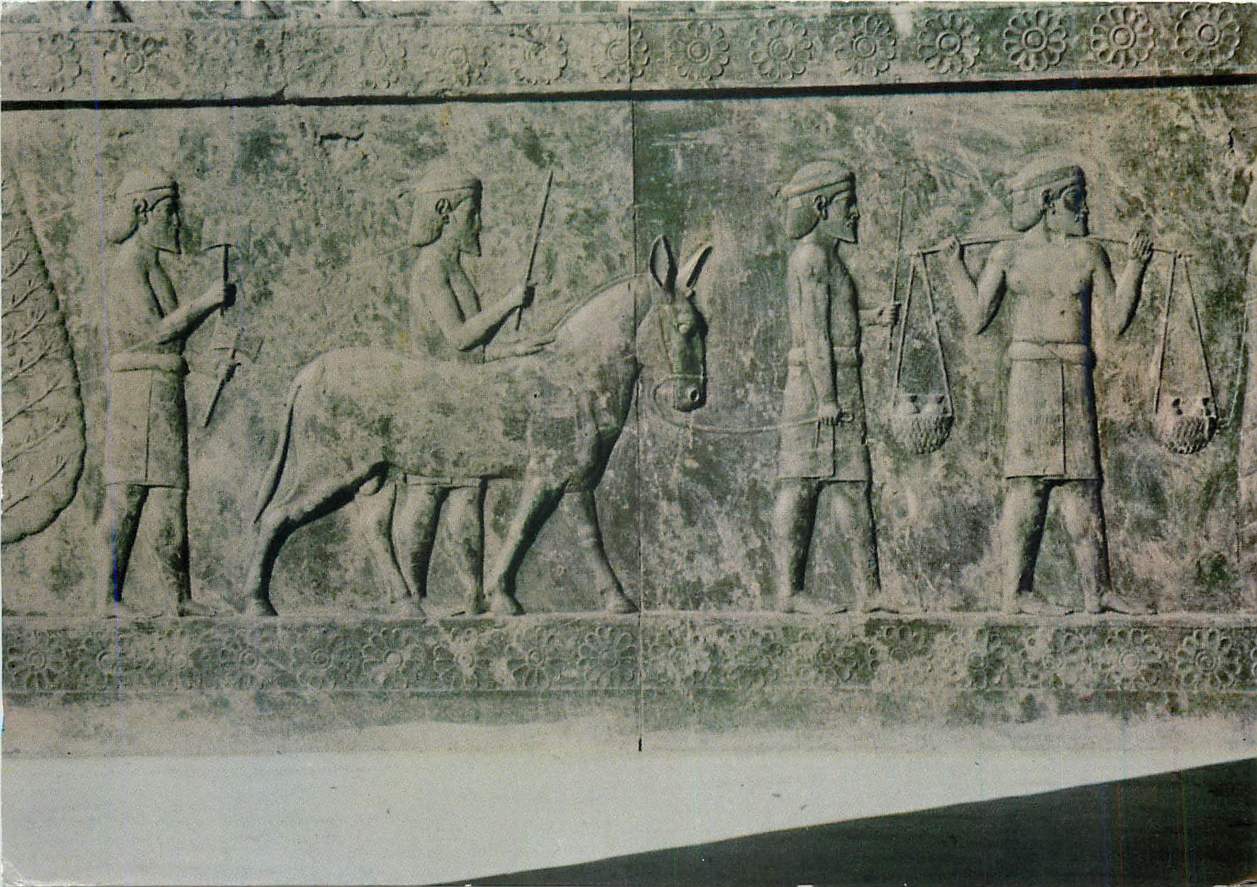 CPM Shiraz Perspolis