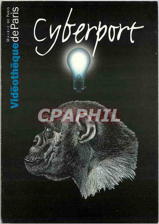 CPA Cyberport Singe Paris