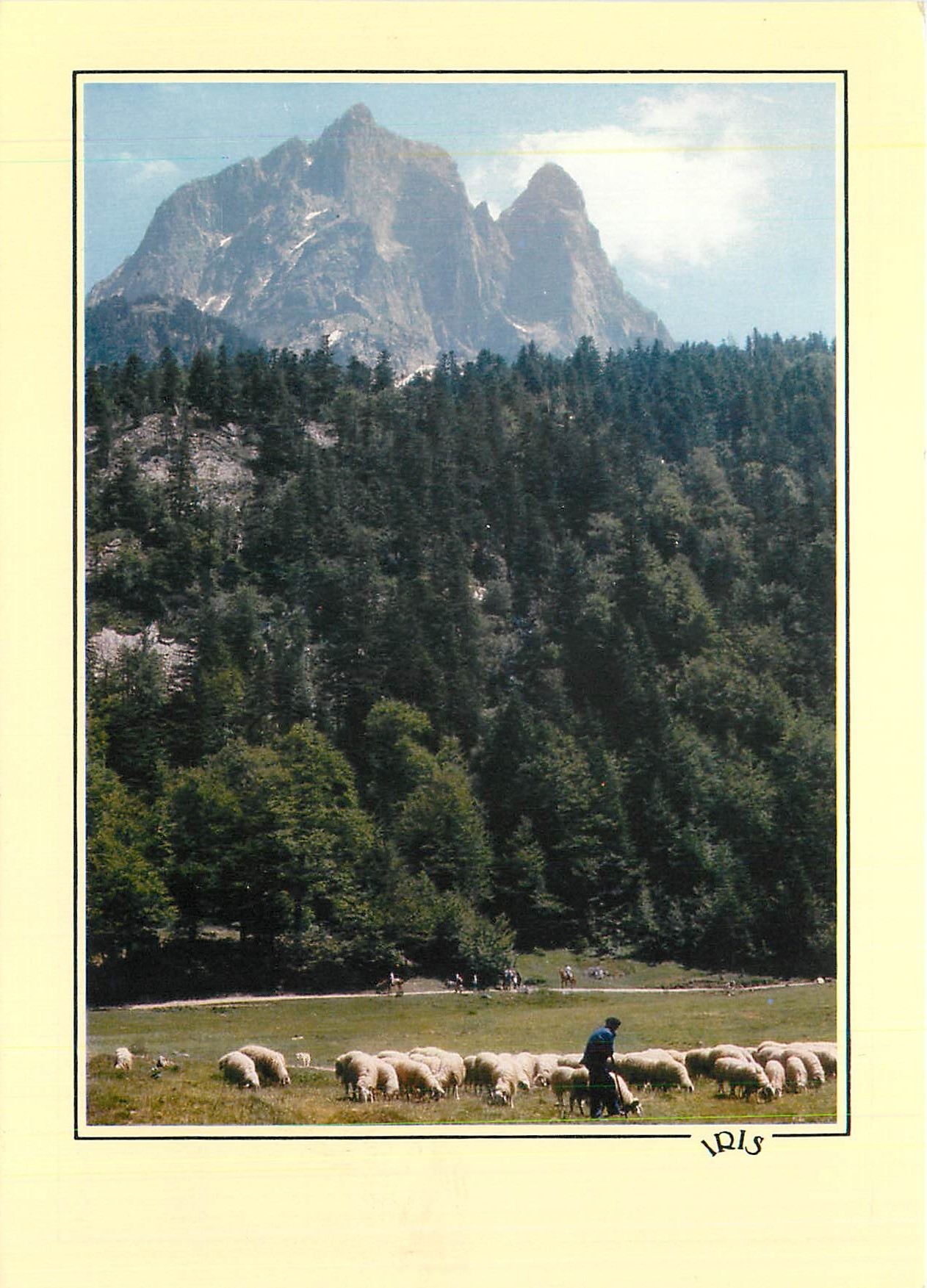 CPM Refelts du Bearn Transhumance au pied de l'Ossau (alt 28884 m)
