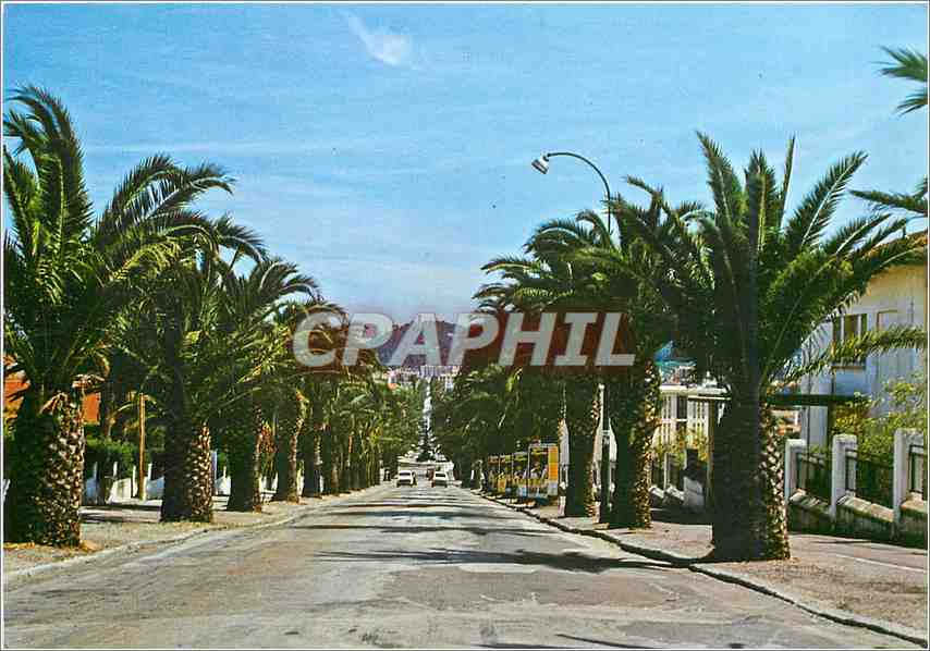 Avenue Alexis Godillot — Hyères — Les éditions ST MICHEL