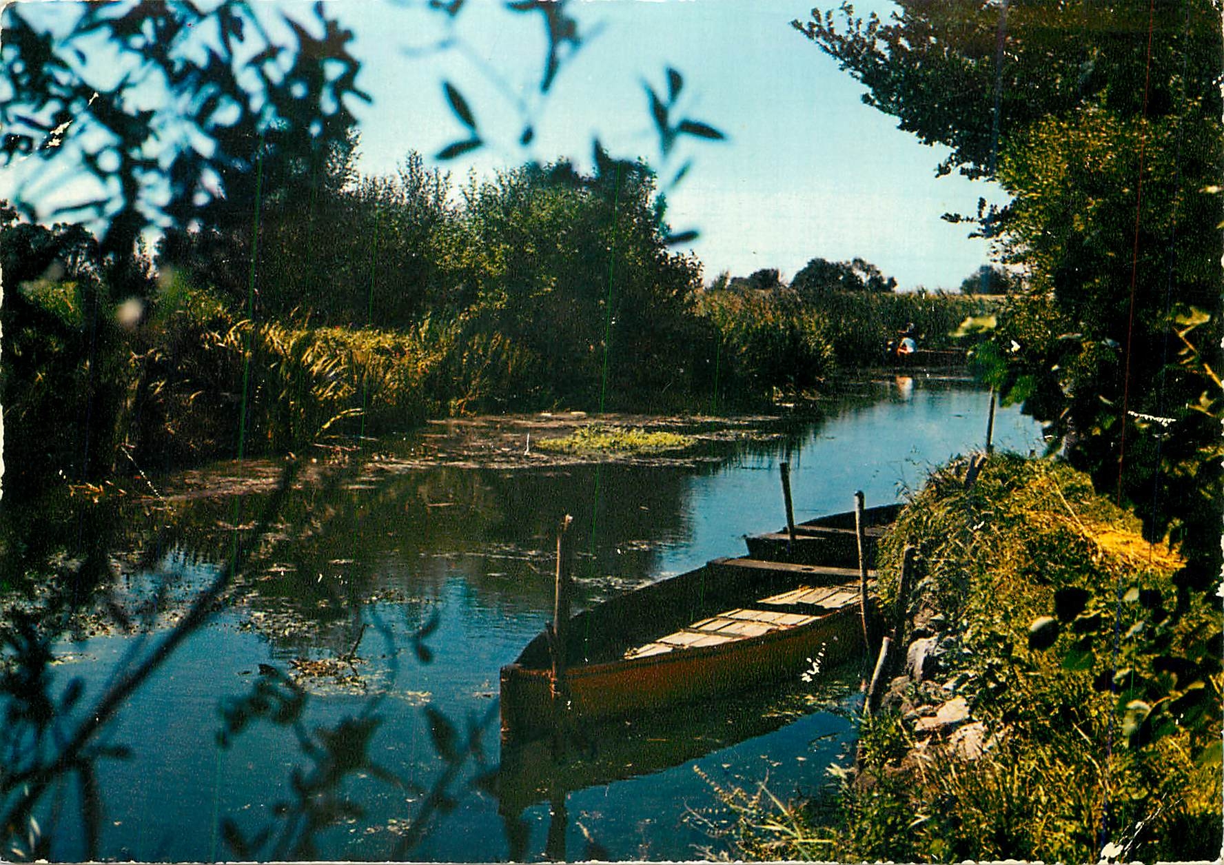 CPM La Presqu'ile Guerandaise Image de Grande Briere