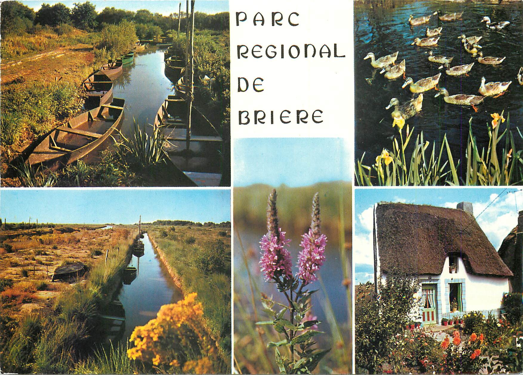 CPM Parc Regional de Briere