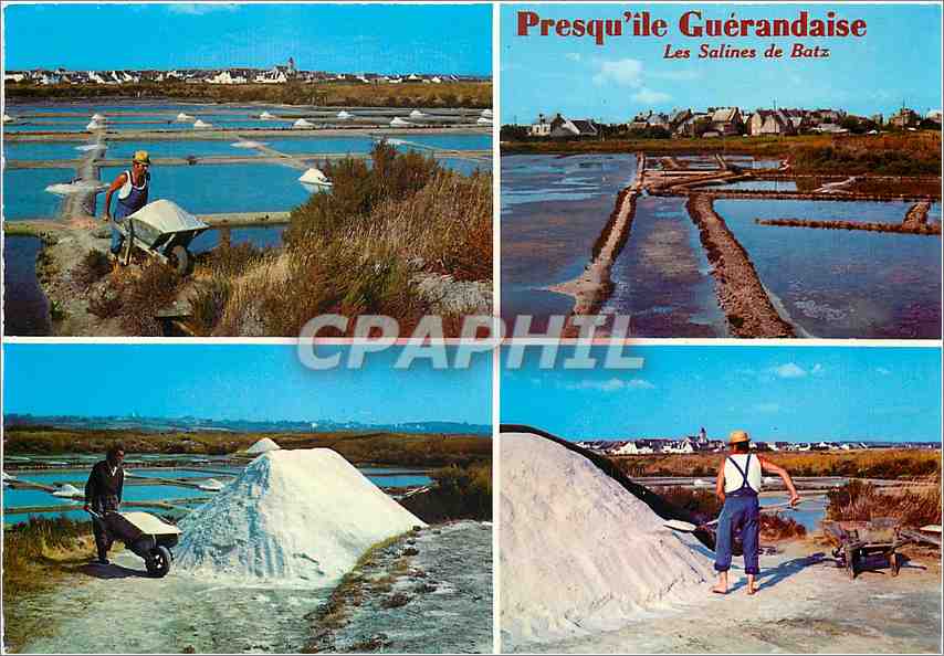 CPM La Bretagne Presqu'ile Guerandaise Les Les Salines de Batz