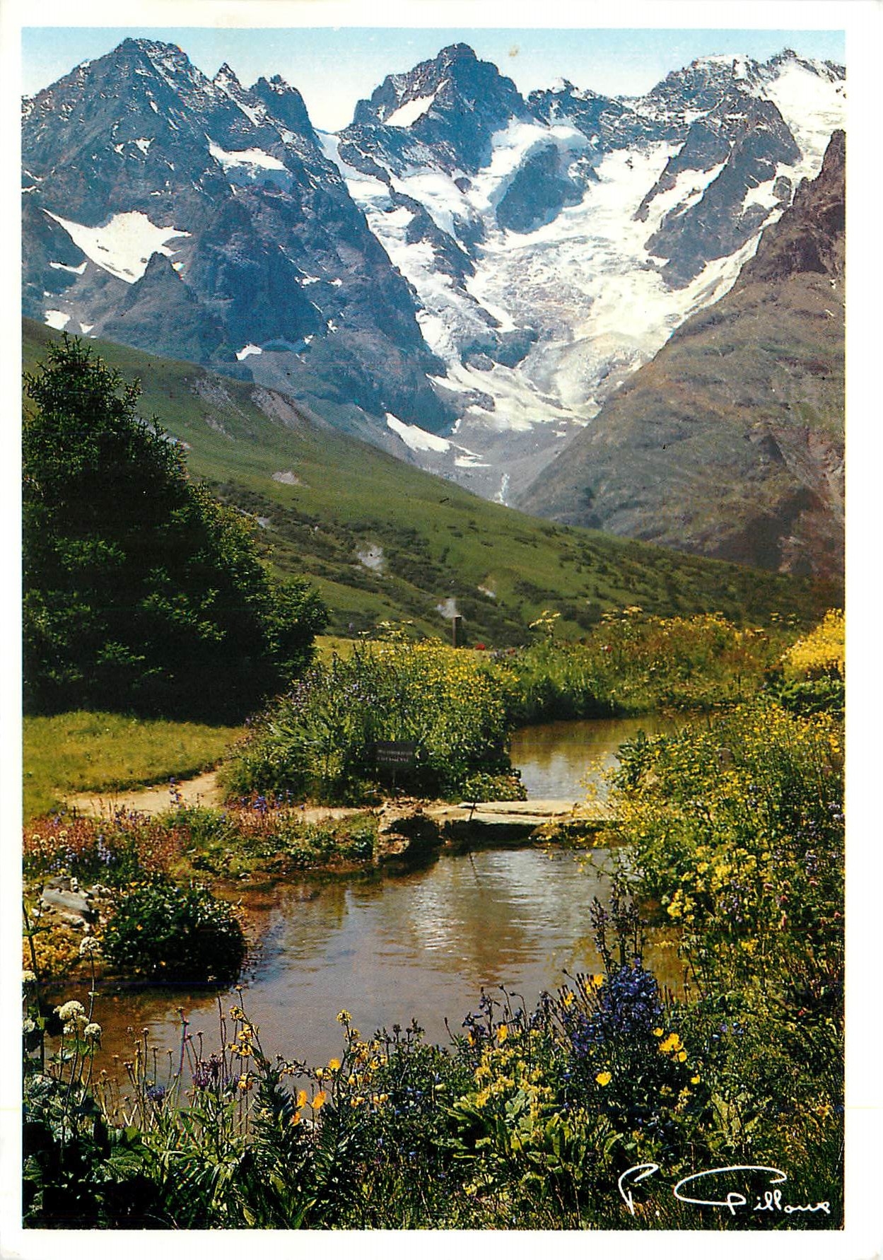 Picturesque Alps - Massif de la Meije, Les Jardins du Lautaret - R. Gillour