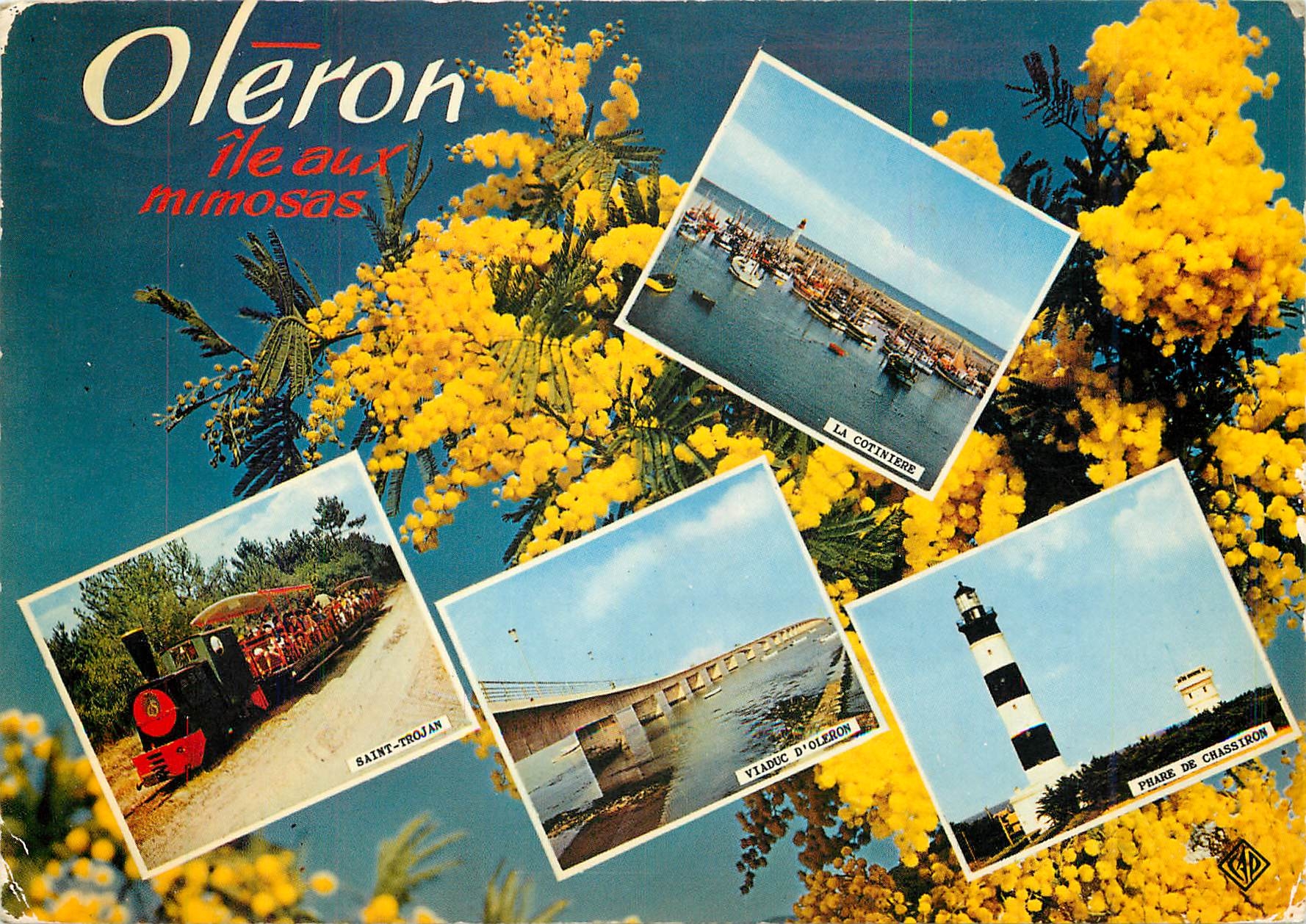 CPM Ile d'Oleron Train