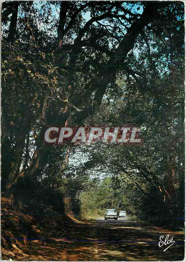 CPM Ile d'Oleron (Ch Mme)