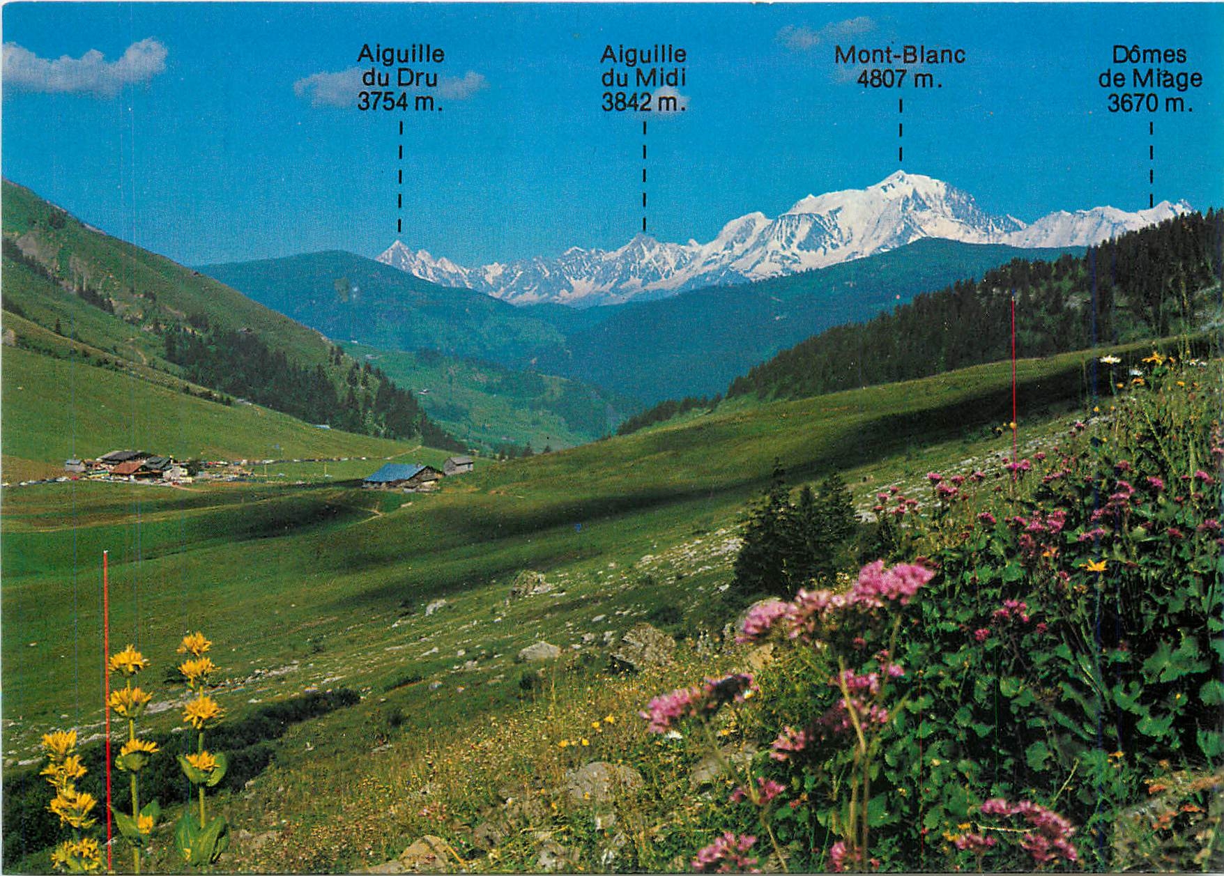 CPM Massif du Mont Blanc Haute Savoie Panorama sur le col des Aravis (alt 1498 m) et la chaine du Mo