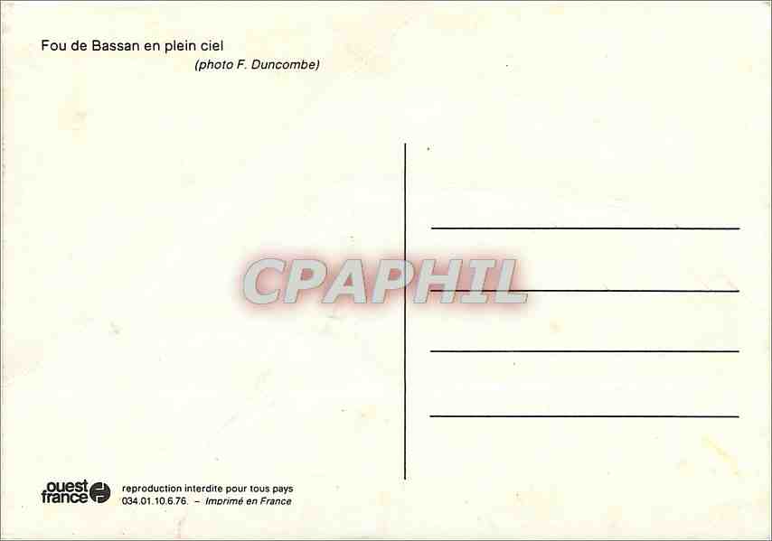 CPM Fou de Bassan en Plein ciel — Rückseite