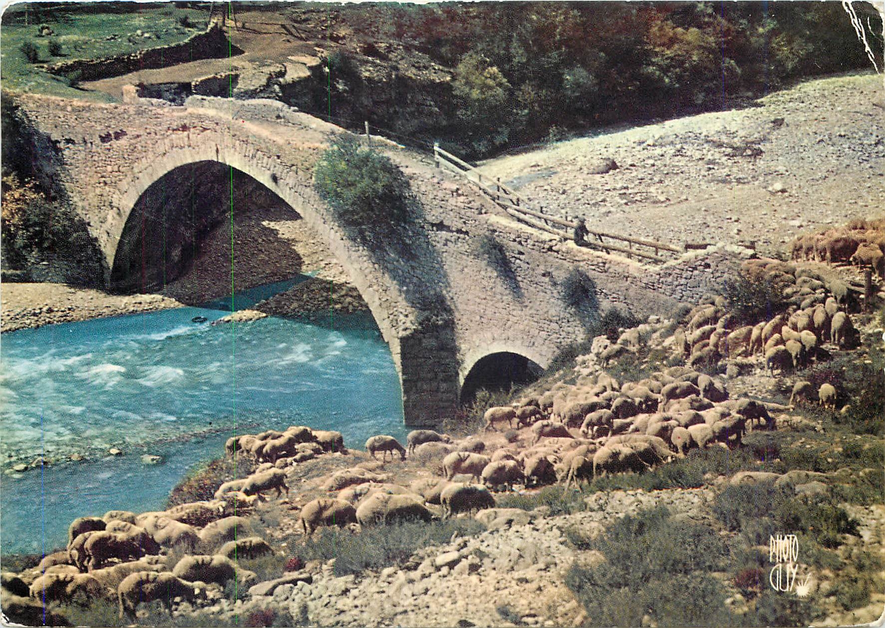 CPM Paysages de France Alpes de Provence les Transhumants