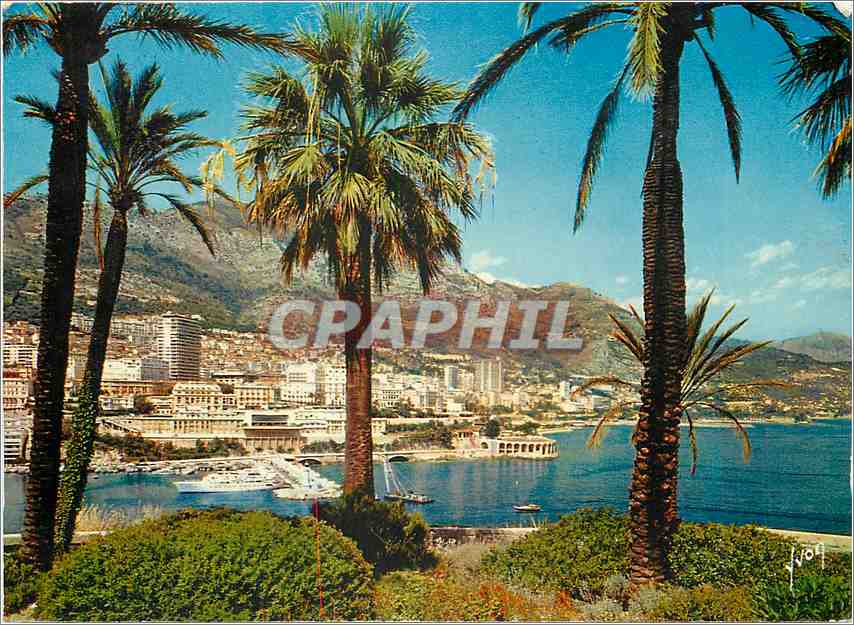 CPM La Cote d'Azur miracle de la nature Principaute de Monaco Vue generale de Monaco Vue generale su