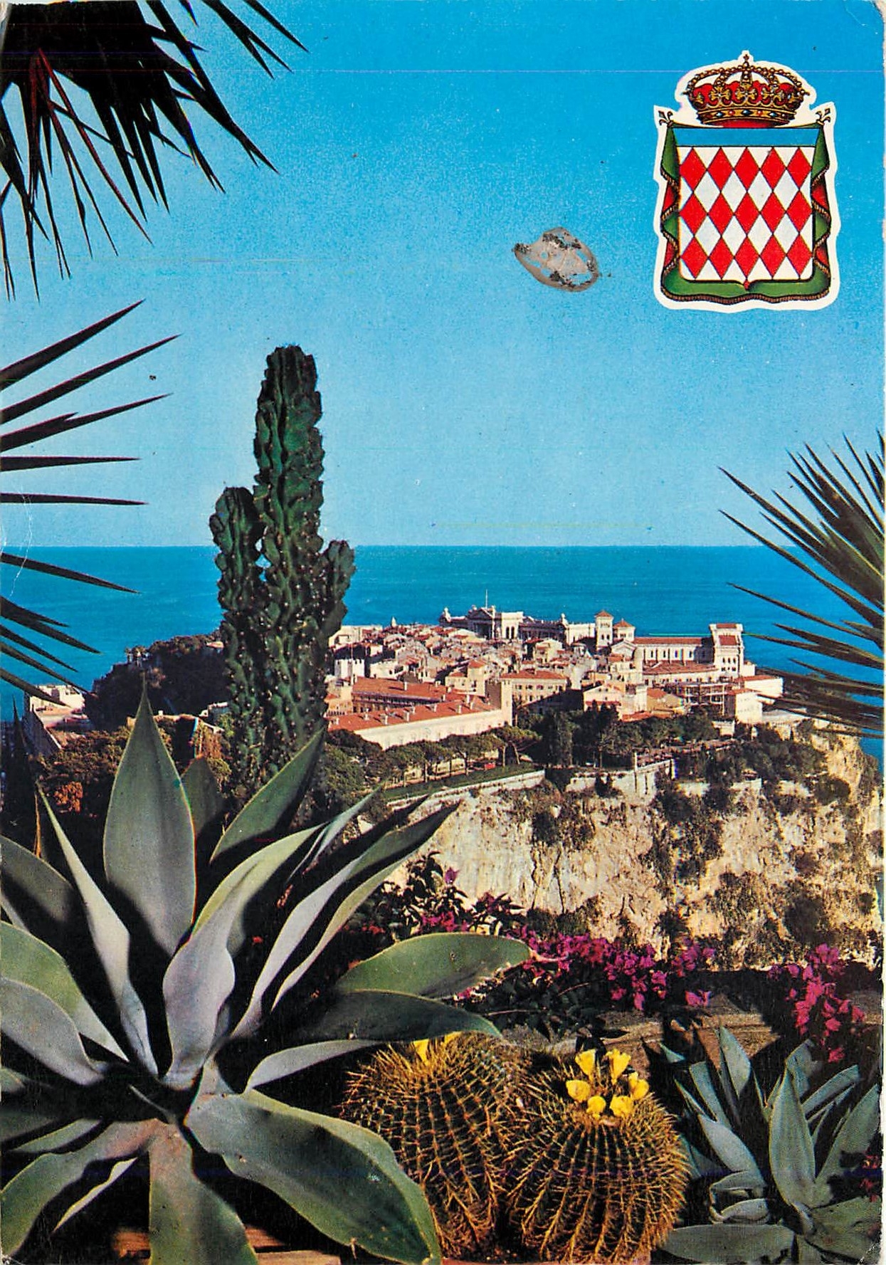 CPM Monaco Cote d'Azur Le rocher et le palais vue prise du jardin exotique