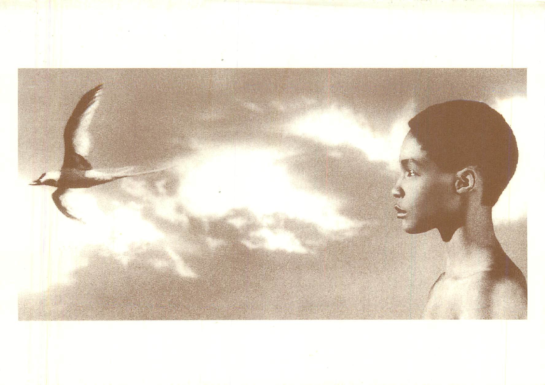 CPM L'enfant et l'oiseau