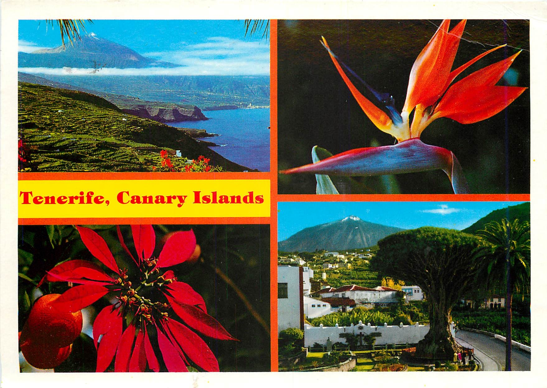 CPM Tenerife Canary Islands