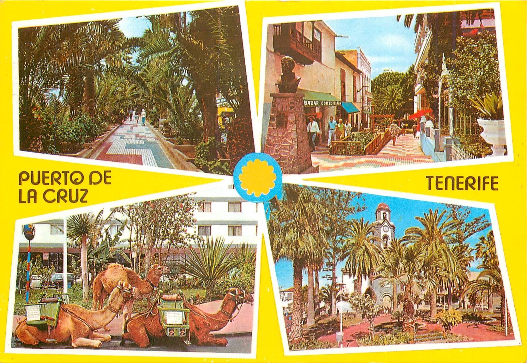 CPM Puerto de la Cruz Tenerife