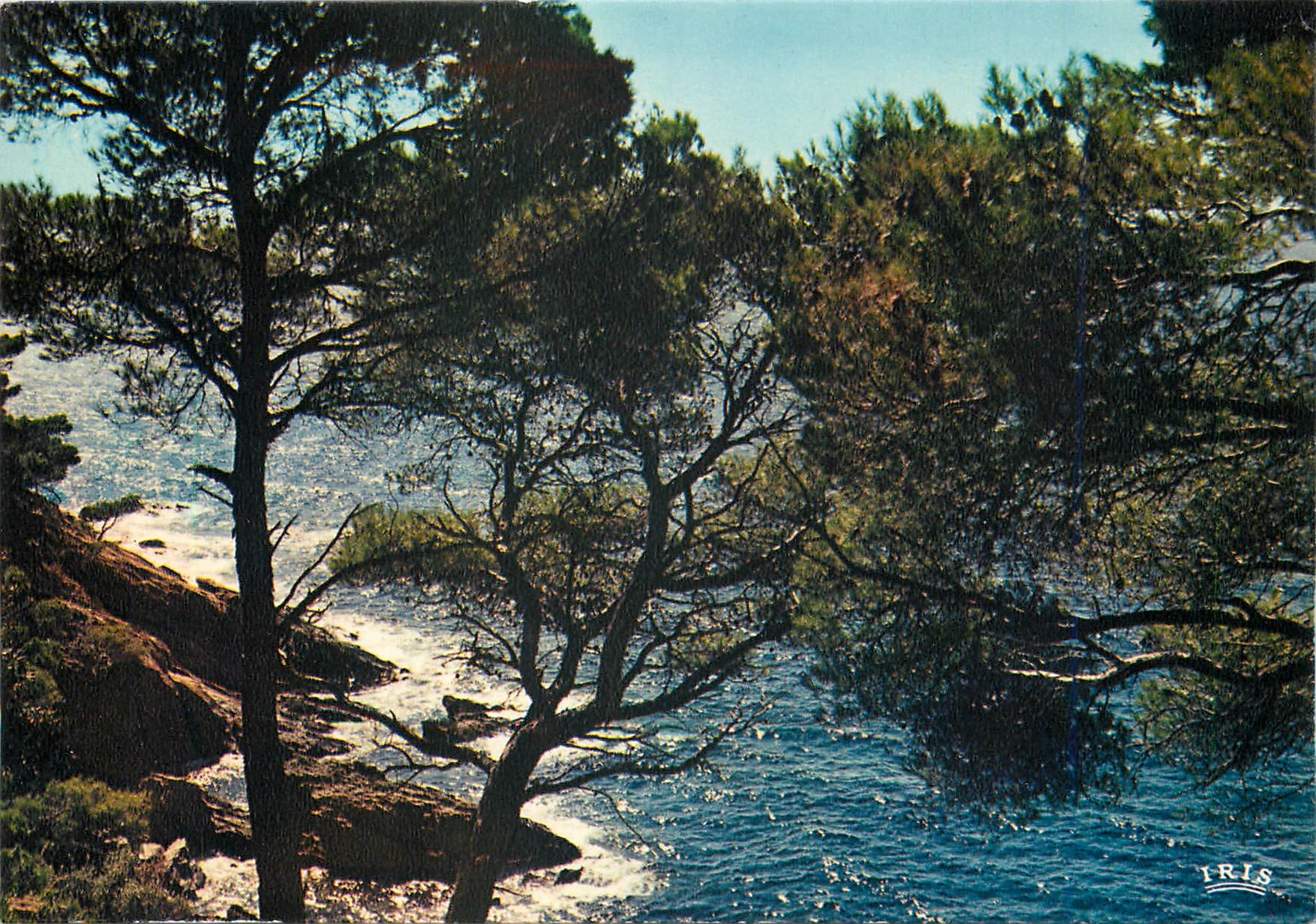 CPM La Cote d'Azur French Riviera Calanques de la Vigie