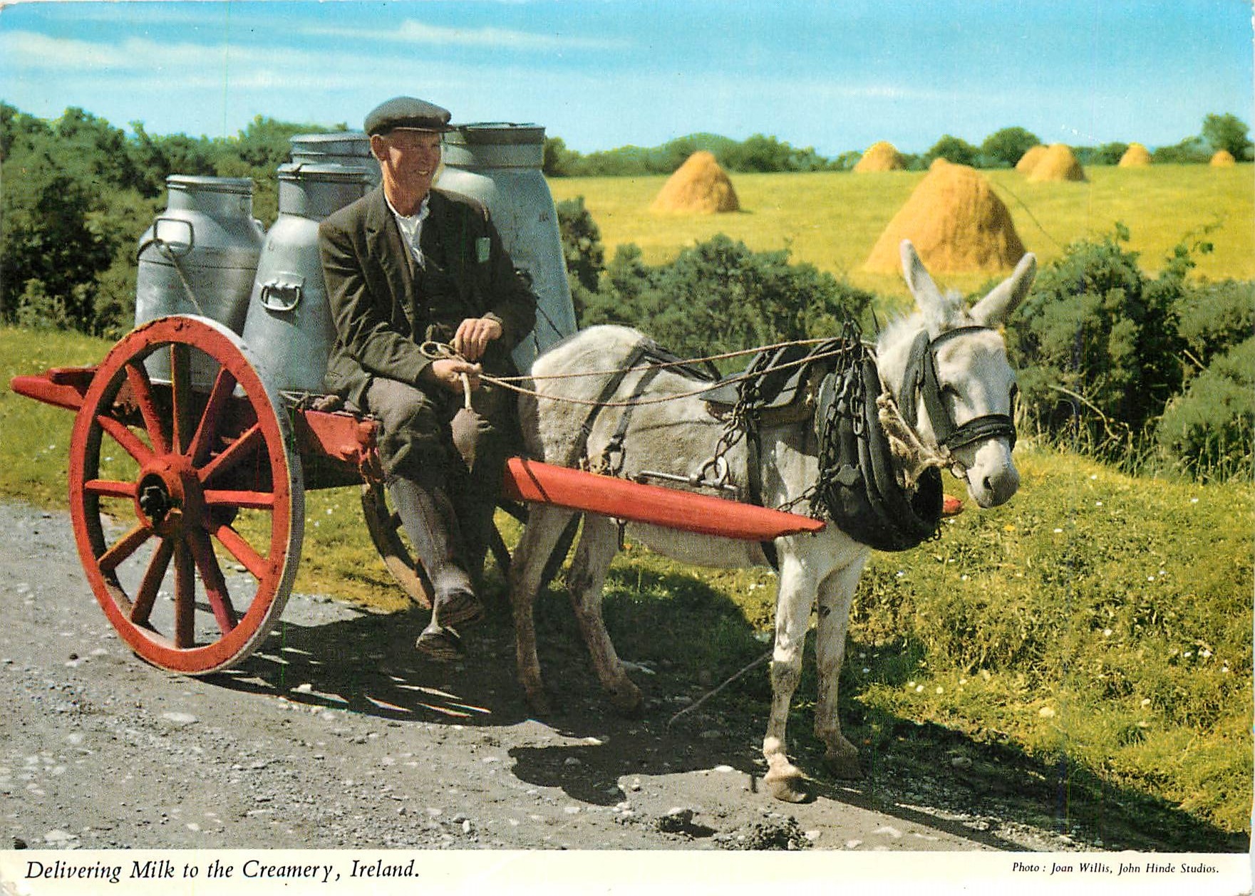 CPM Belivering milk to the Creamery Ane Mule