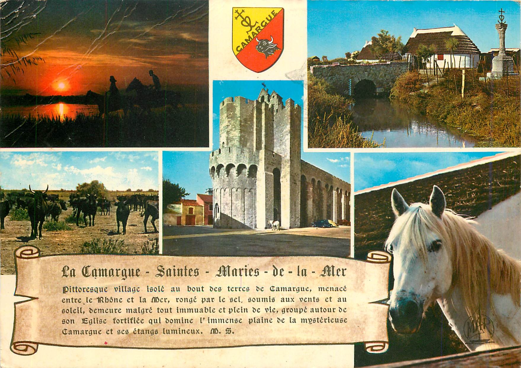 La Camargue - Saintes-Maries-de-la-Mer — Les Éditions de la Camargue, n°2175