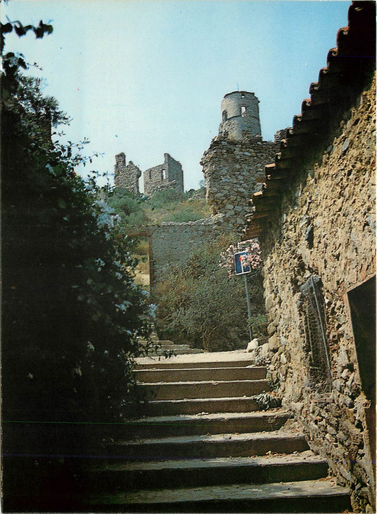 CPM Lumiere et Beaute de la Cote d'Azur Grimaud Rue du Balladou
