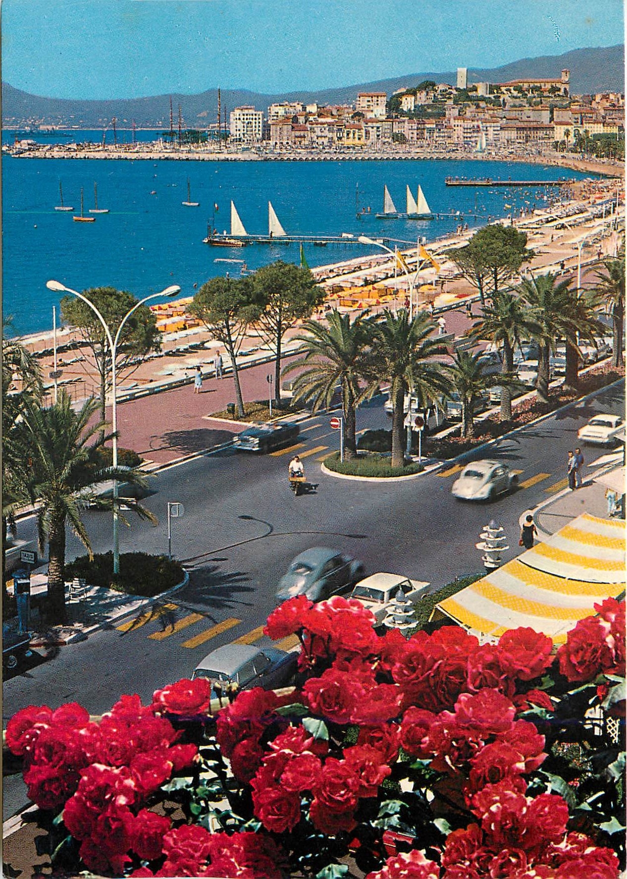 CPM Cannes Cote d'Azur French riveira La croisette au fond le Suquet