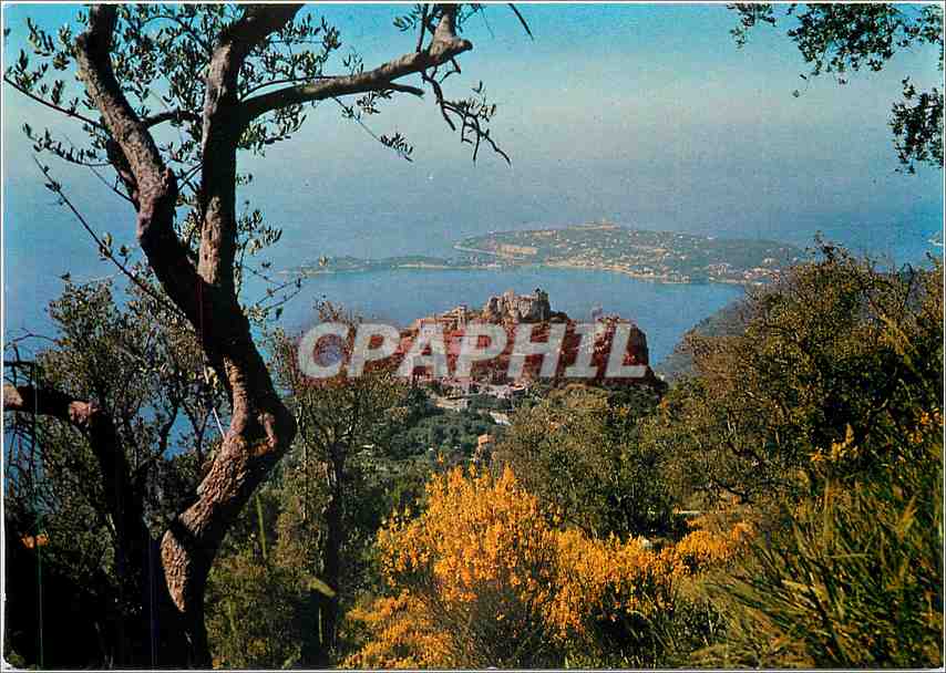 CPM Les Sites Merveilleux de la Cote d'Azur Eze (A Mmes) Le pittoresque village au fond le cap ferra