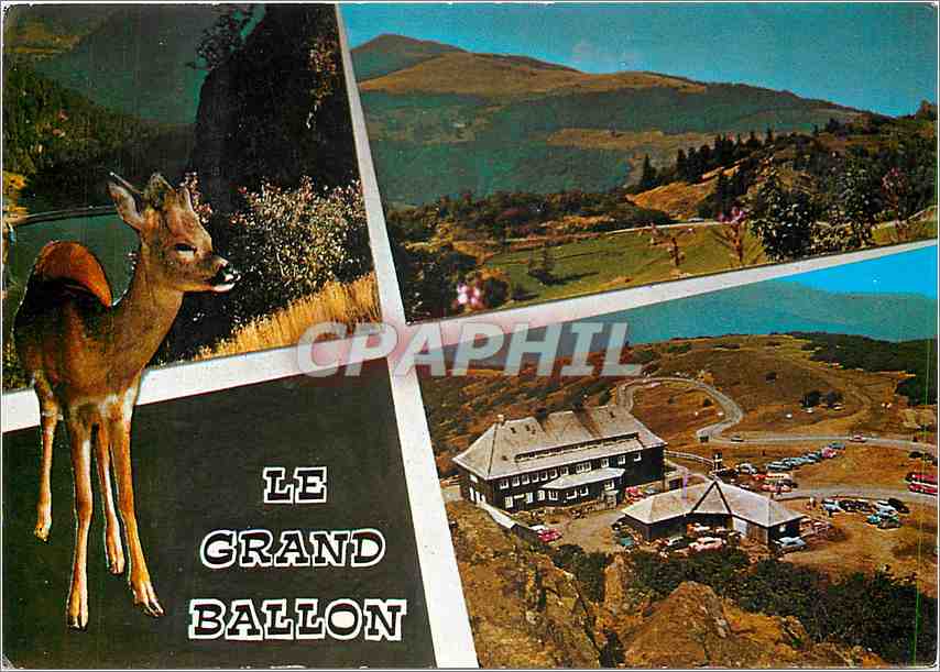 CPM Les Vosges Pittoresques Grand Ballon Sommet culminant des Vosges (1427 m) l'Hotel Restaurant