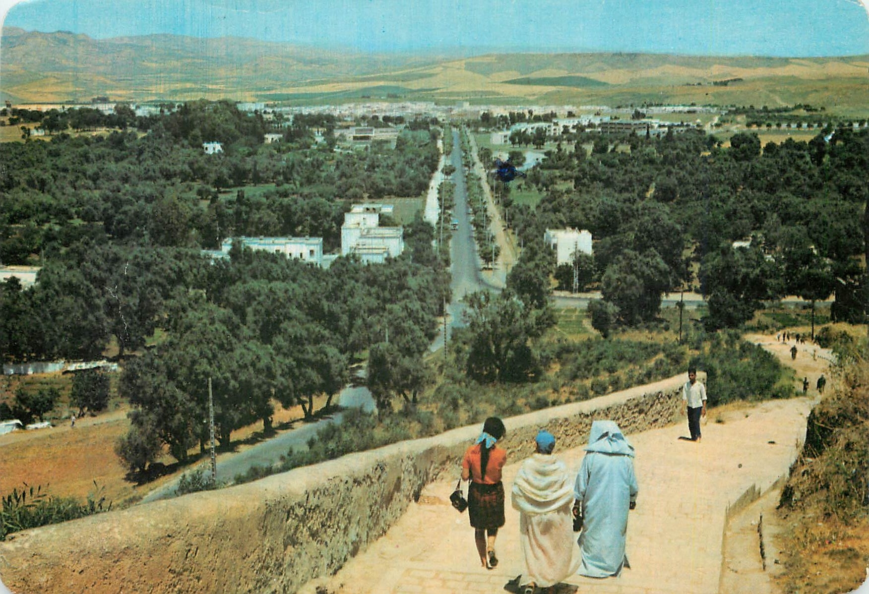CPM Royaume du Maroc Oasis de Fraicheur dans l'infini des Collines