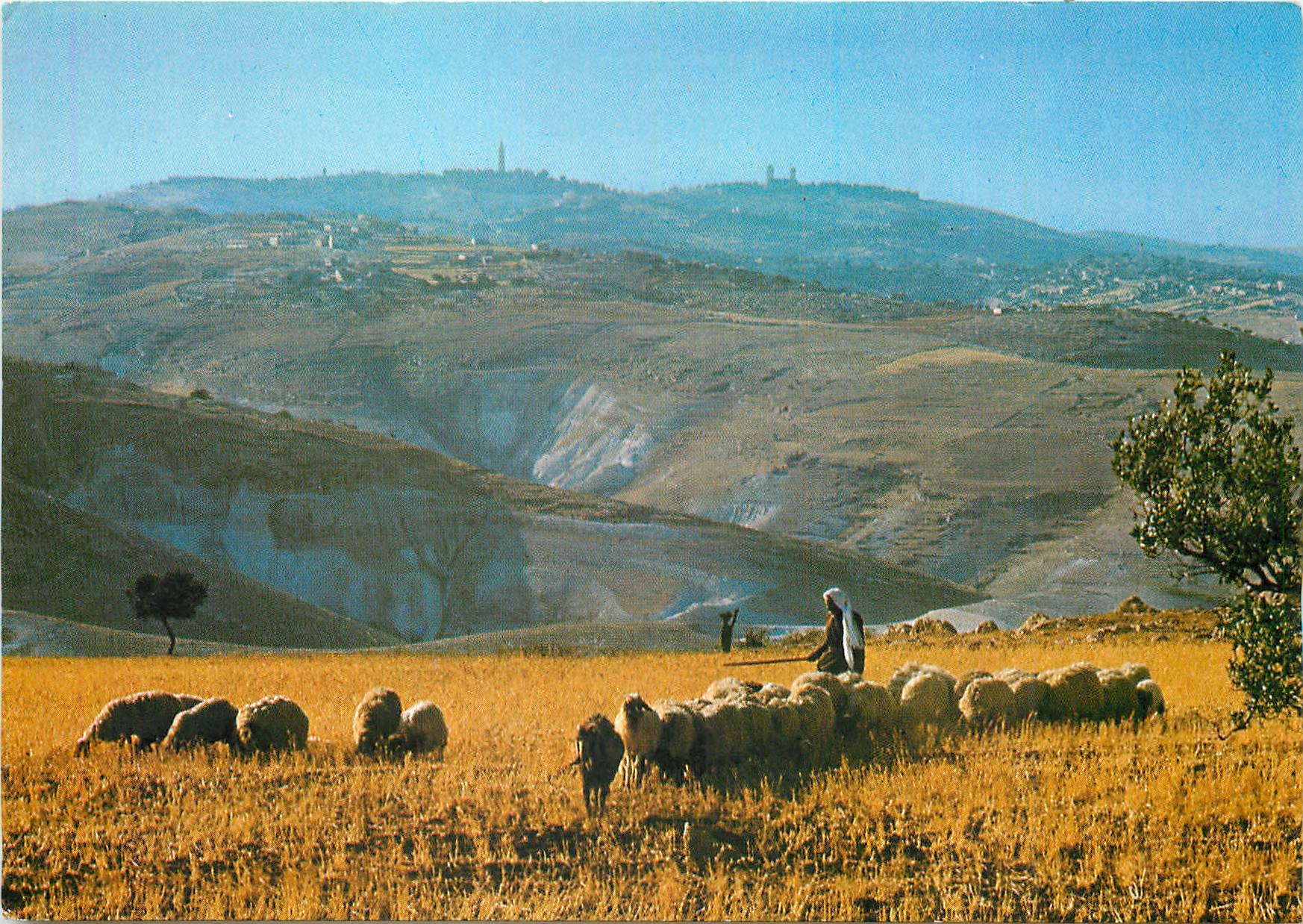 CPM Vue au Jerusalem de la desert de Judees