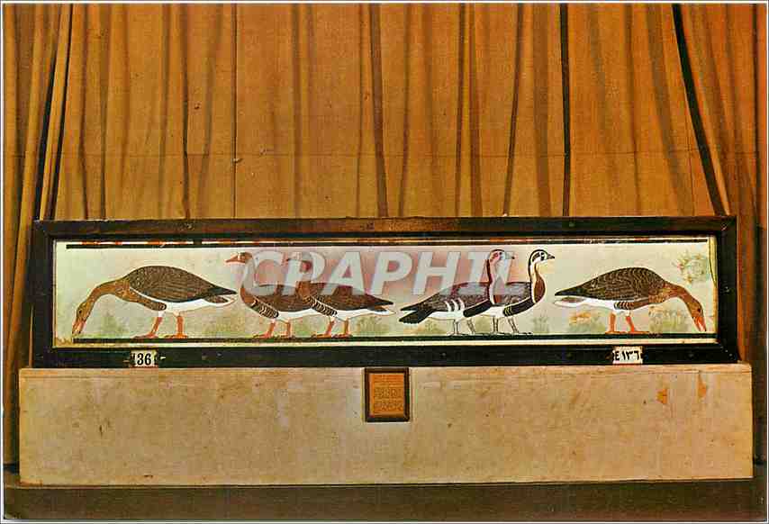 Peinture sur plâtre de six oies de Meidum — 4e dynastie — Égypte