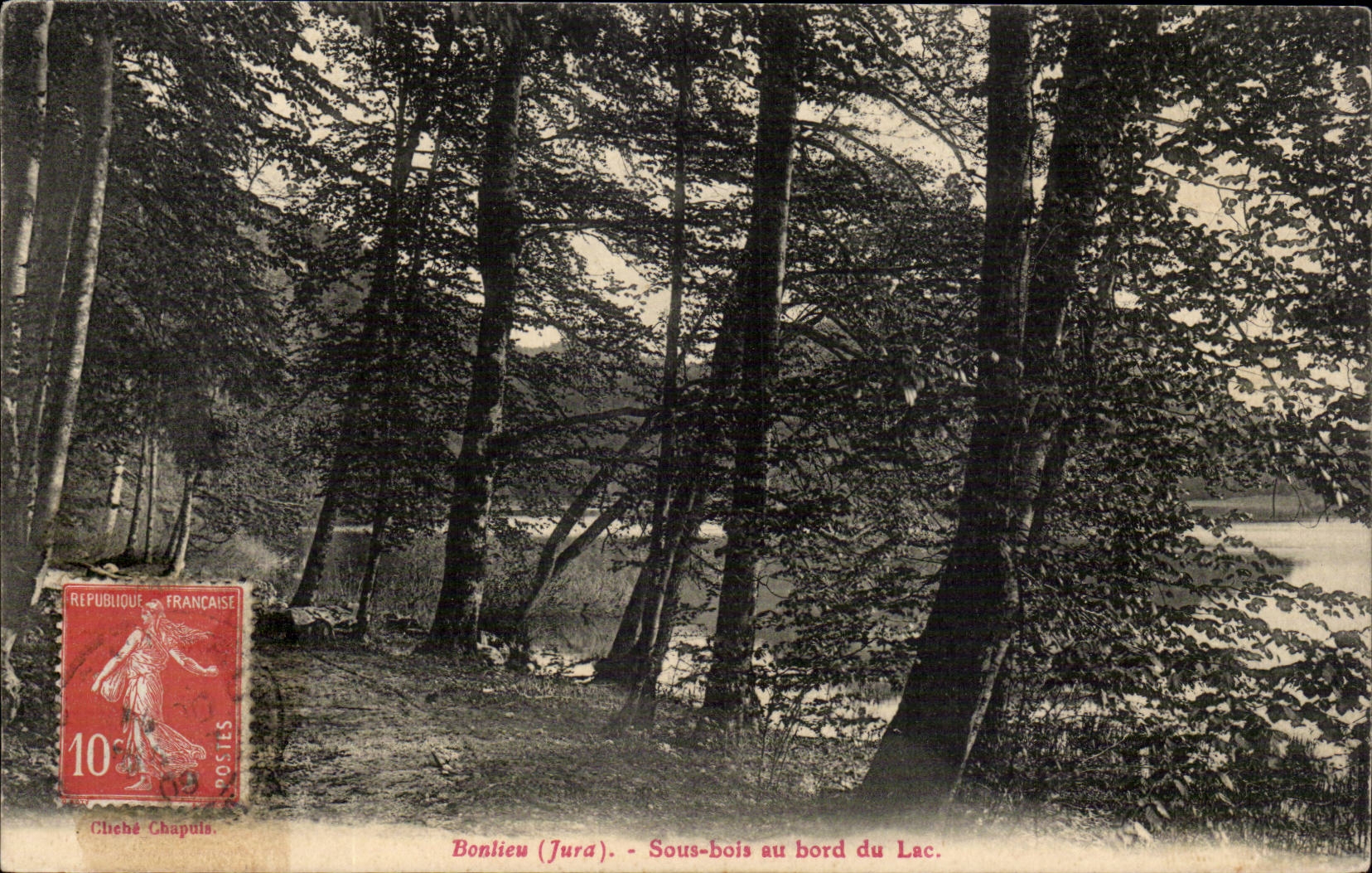 Bonlieu (Jura) - Sous-bois au bord du Lac