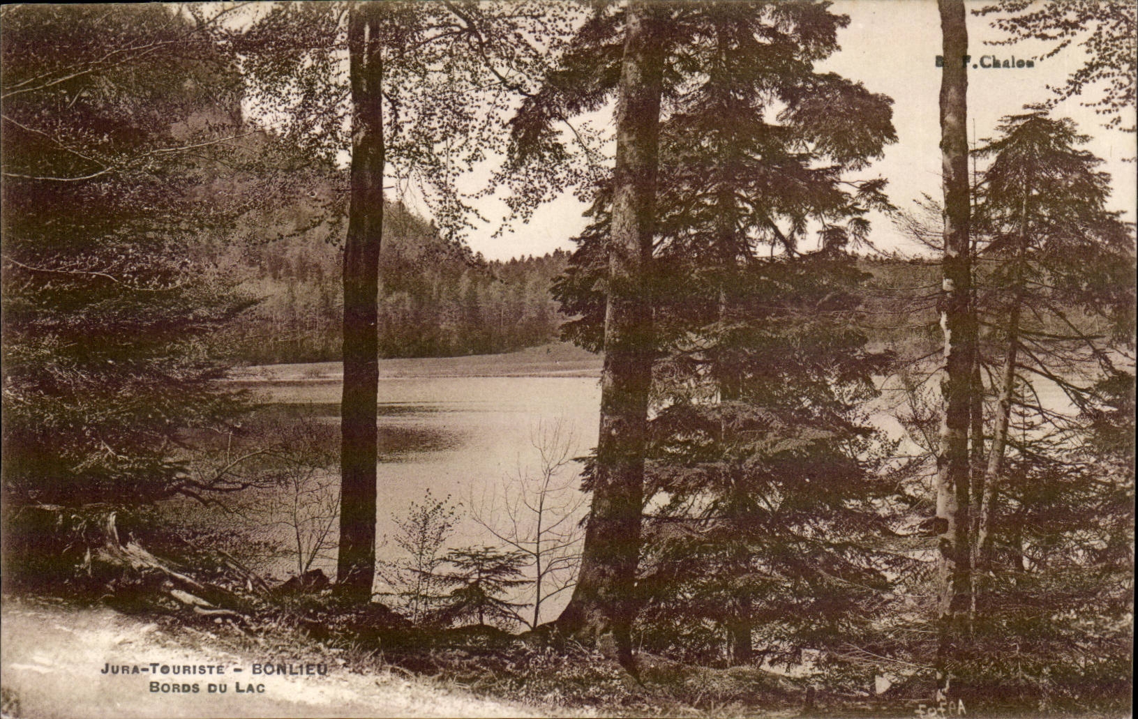 Bords du lac - BONLIEU - Jura-Touriste - Éditeur P. Chalons