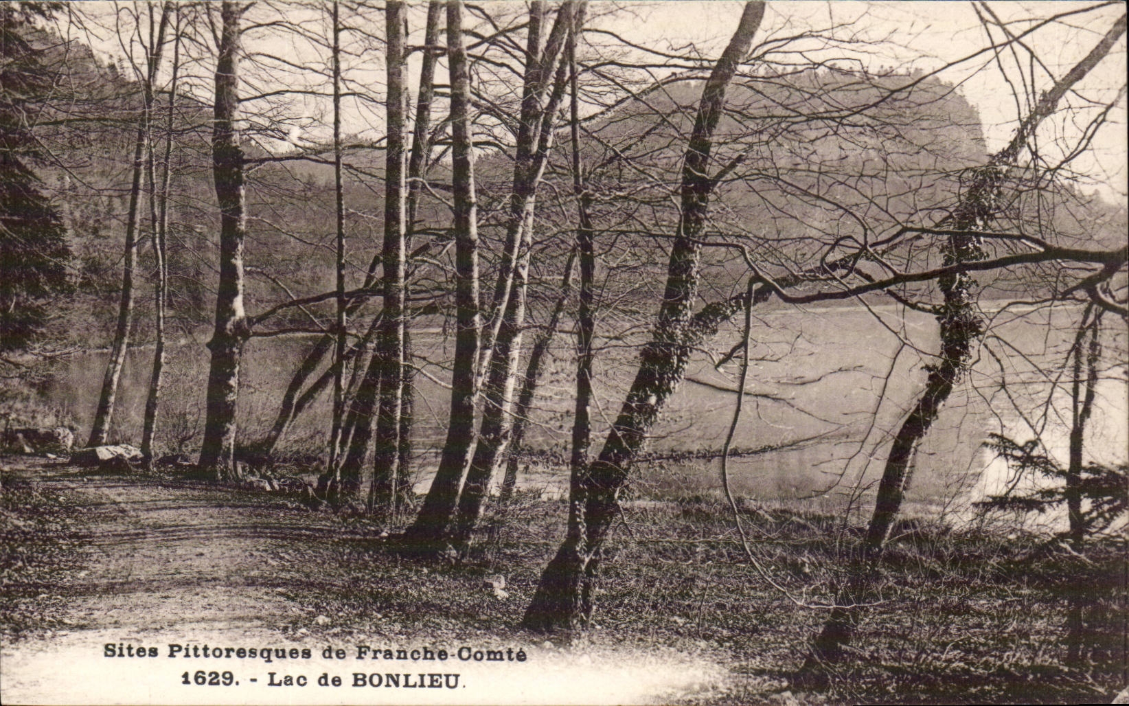 Lac de Bonlieu — Sites Pittoresques de Franche-Comté — Éditions C. L. F. Besançon, n° 1629