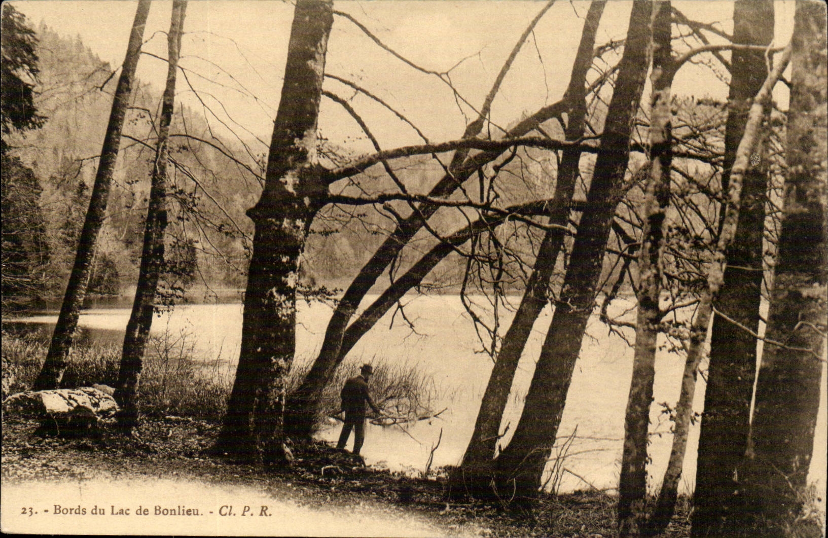 Bords du Lac de Bonlieu — vue forestière avec homme au bord — Cl. P. R. n°23