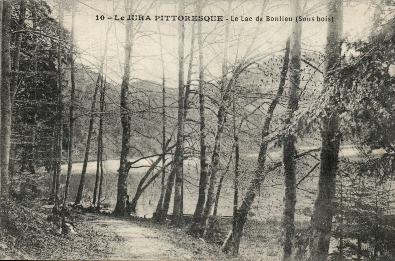 Le Jura Pittoresque — Le Lac de Bonlieu (Sous bois) — Série 10