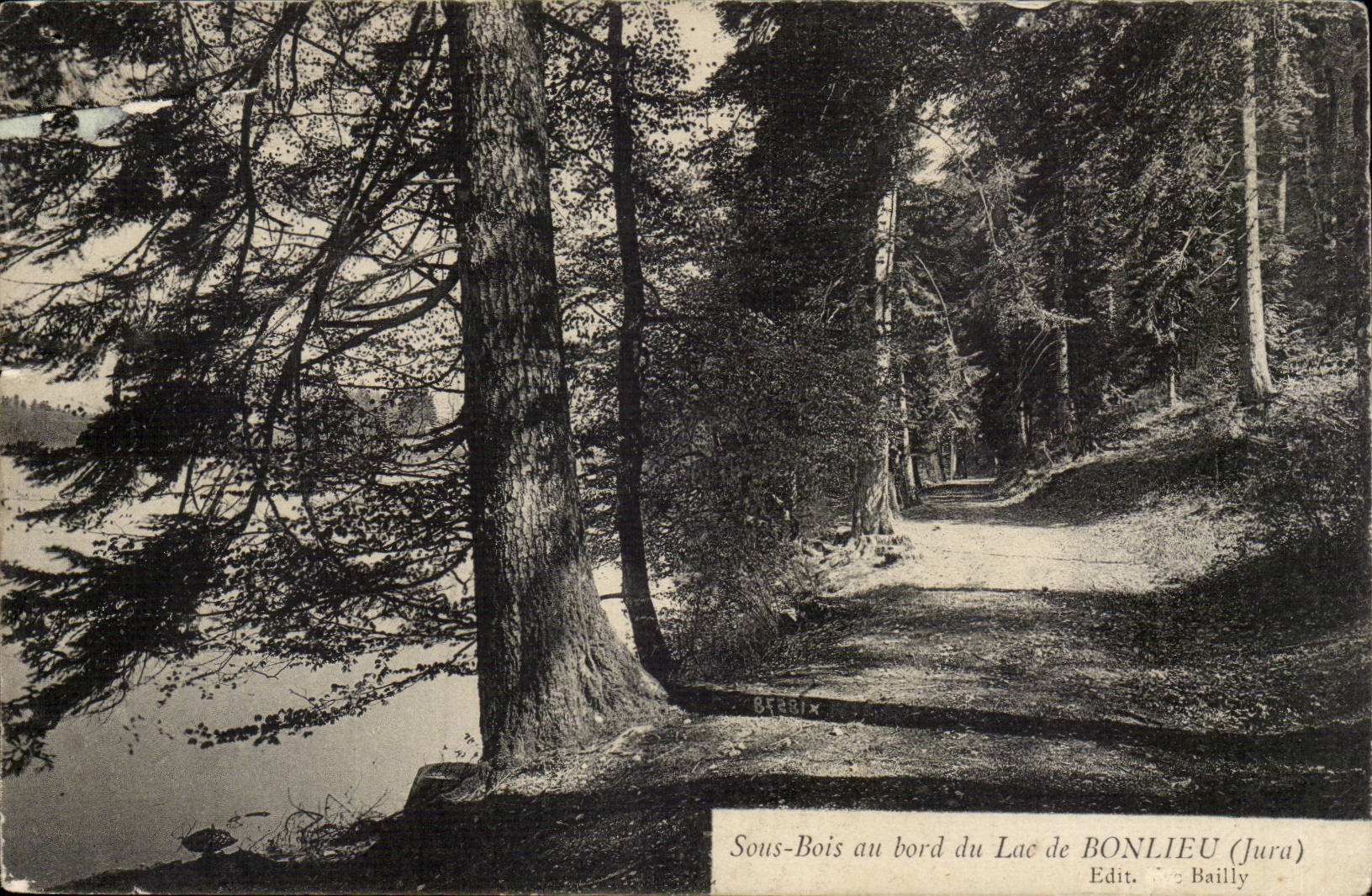 Sous-Bois au bord du Lac de BONLIEU (Jura) — Edit. Bailly