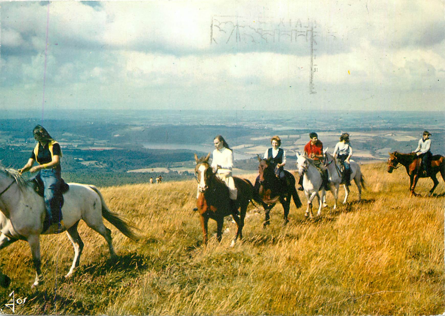 CPM Equitation Chevaux