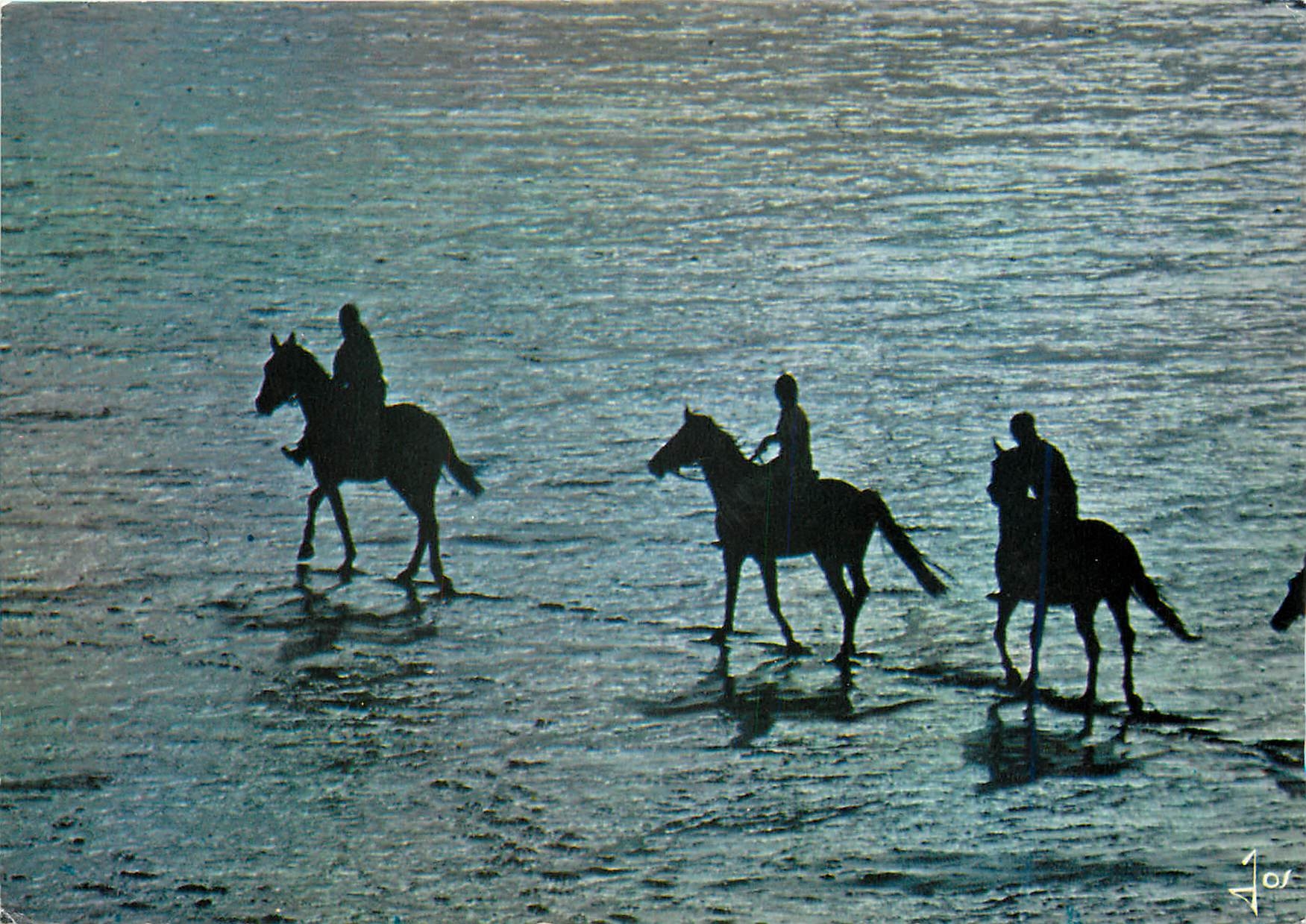CPM Promenade equestre sur la plage 